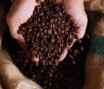 Preço do café recua, mas segue remunerador ao produtor