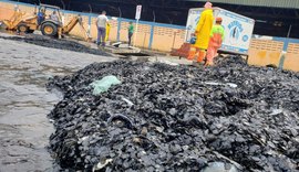 Mutirão de limpeza retira 25 toneladas de lixo do Mercado da Produção