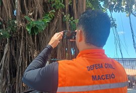 Defesa Civil avalia saúde das árvores em praças de Maceió com tecnologia
