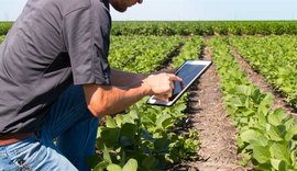 91% dos agricultores brasileiros adotam inovação para enfrentar crises climáticas