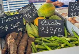 Feira em Murici reúne produtores de 8 municípios
