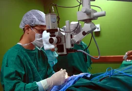 Exames são importantes para diagnóstico do câncer de intestino
