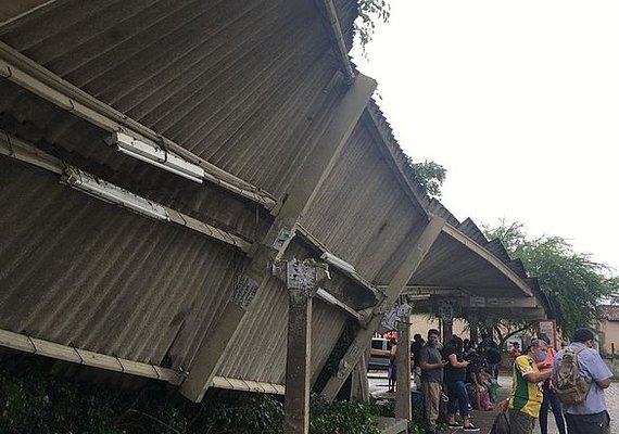 Após queda de árvore, terminal de ônibus na Santa Amélia é interditado