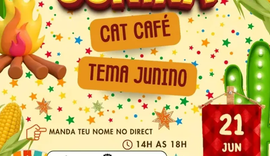 Café, gatos e adoção: Cat Café promete tarde junina neste domingo