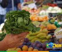Agricultores familiares de Alagoas recebem pagamento do Garantia-Safra em julho