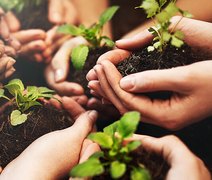 Sicoob celebra a Semana do Cooperativismo com diversas atividades pelo Brasil