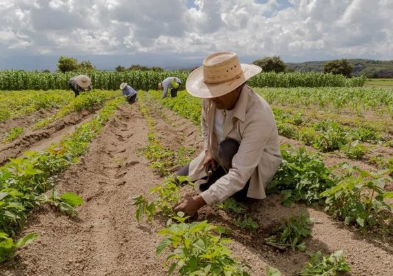 Agricultura digital na produção de alimentos saudáveis