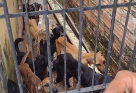 Operação conjunta resgata cães e gatos em situação de maus-tratos em Maceió