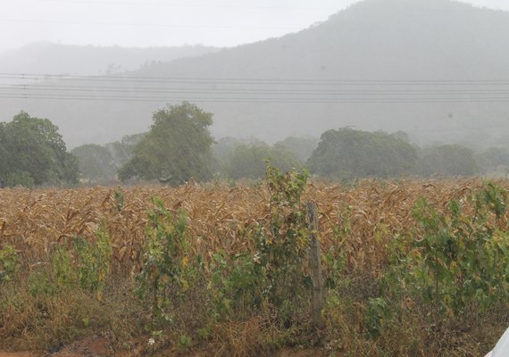 Prazo para entrega do ITR encerra dia 30