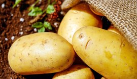 Batata pode sofrer alta de preço com produção reduzida