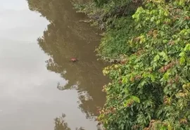 Corpo achado em rio pode ser de jovem desaparecida após ir comprar sorvete