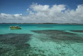 Confira roteiros imperdíveis pelas praias de Alagoas