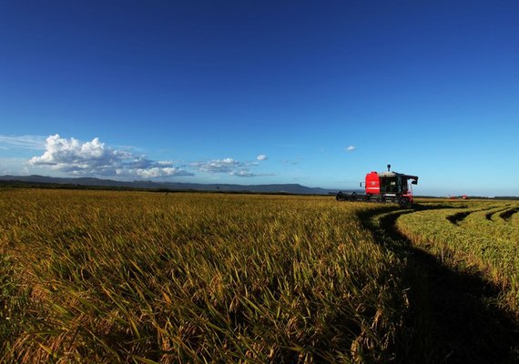 Brasil apresenta máquinas e implementos agrícolas ao mercado colombiano