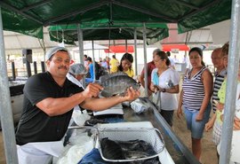 Pescados oferecidos na Feira do Peixe Vivo incluem de tilápia a jacaré