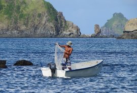 Justiça dá 72 horas para União explicar liberação de pesca em Fernando de Noronha