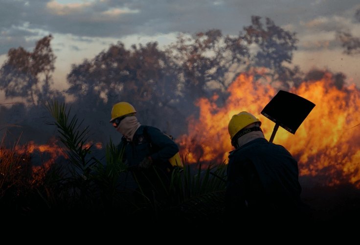 Incêndios ameaçam propriedades rurais e áreas indígenas no Xingu