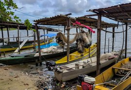 Peixe na água e rede vazia: desastre da Braskem atinge pescadores