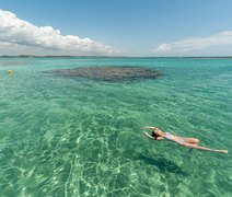 Conheça os principais destaques de Maceió e Maragogi para passar as férias