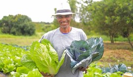 Município alagoano irá investir cerca de R$ 3 mi em alimentos da agricultura familiar