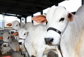 Expoalagoas Genética completa dez anos