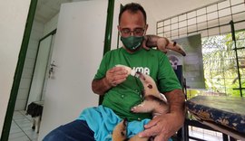 IMA promove campanha de arrecadação para filhotes do Cetas