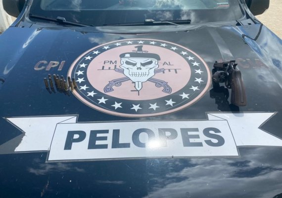 BPA apreende animais silvestres e 4ª CPM/I prende homem com arma após ameaça