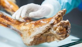 Micróbios de múmia de 5.300 anos podem ainda estar vivos