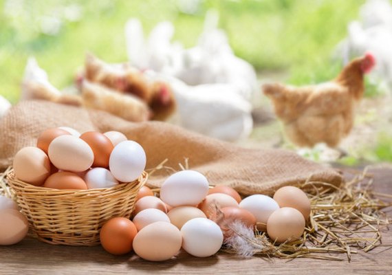 Proteínas animais encerram julho com cenários distintos no mercado brasileiro