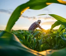 Produtor rural de AL tem até 30 de setembro para declarar ITR