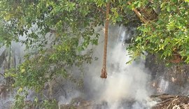 Polícia Militar atua em incêndio na Área de Preservação de Fernão Velho