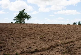 Pão de Açúcar tem emergência reconhecida pelo Governo Federal por seca