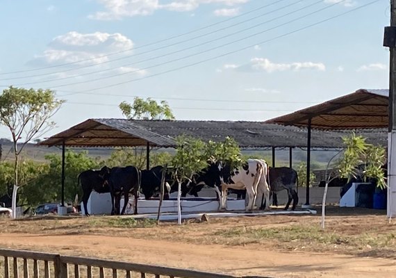 Parque Mair Amaral recebe melhorias para a 40ª Expo Bacia Leiteira