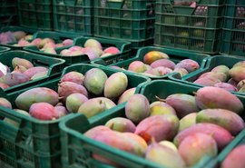 Brasil bate recorde com mais de US$ 1,21 bilhão em exportação de frutas em 2021