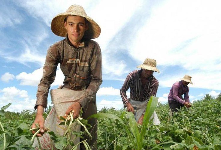 Agricultor familiar não sofrerá impactos referentes ao recolhimento de previdência rural