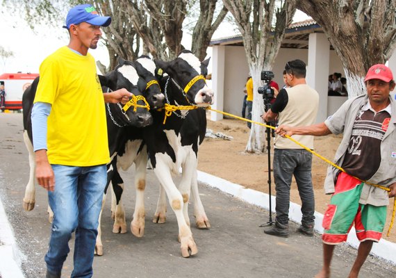 Parque Mair Amaral está pronto para 36ª Expo Bacia Leiteira