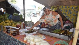 Por uma vida com mais saúde e arte, Mercado das Artes 31 recebe a Feira Agroecológica Novo Jardim