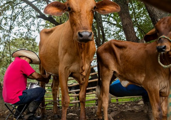 Ministério anuncia recursos para cooperativismo e agricultura familiar