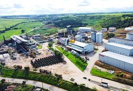 Pindorama programa início da safra 26/27 para agosto