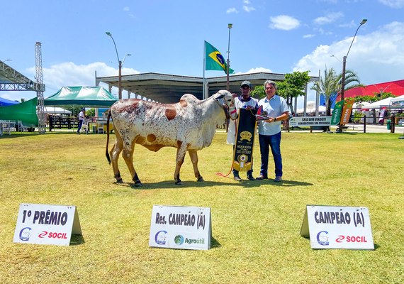 Expoagro Alagoas chega à sua 74ª edição como maior evento agropecuário do Nordeste