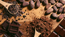 Mapa incentiva a produção de chocolates finos de aroma
