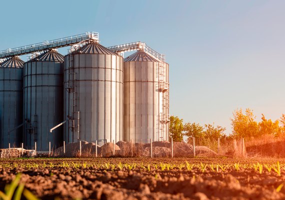 Alagoas terá construção de silos na produção agropecuária e no plantio, de soja e milho