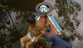 Natura cria startup para comercializar bioingredientes da Amazônia