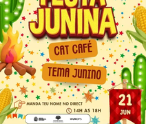 Café, gatos e adoção: Cat Café promete tarde junina neste domingo