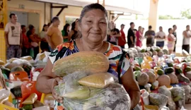 Senado destaca cooperativismo como resposta sustentável a desafios sociais e climáticos