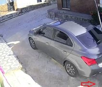Homem que atropelou cadela em Maceió se apresenta à polícia