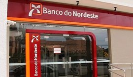 Banco do Nordeste participa da 73ª Expoagro e disponibiliza crédito rural com condições especiais