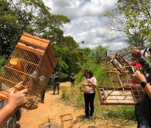 Aves silvestres resgatadas pela FPI são soltas em RPPN da Unidade Marituba