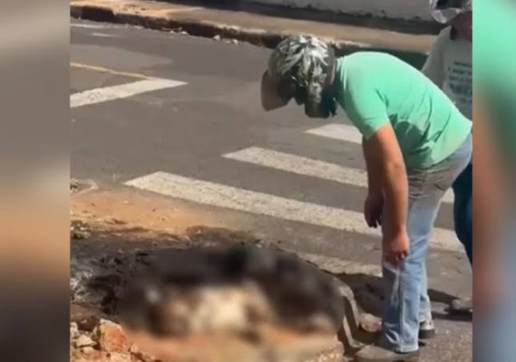 Homem é preso após agredir ex-companheira e incendiar cadela viva