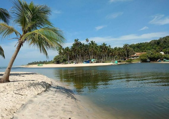 Jequiá da Praia encanta com cenários preservados no litoral sul de Alagoas