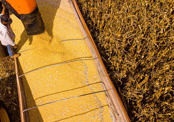 Quais são os estados mais ricos do agro?